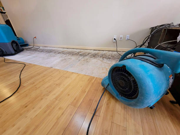 Professional Flood Damage Cleanup technician working in Dayton, MN